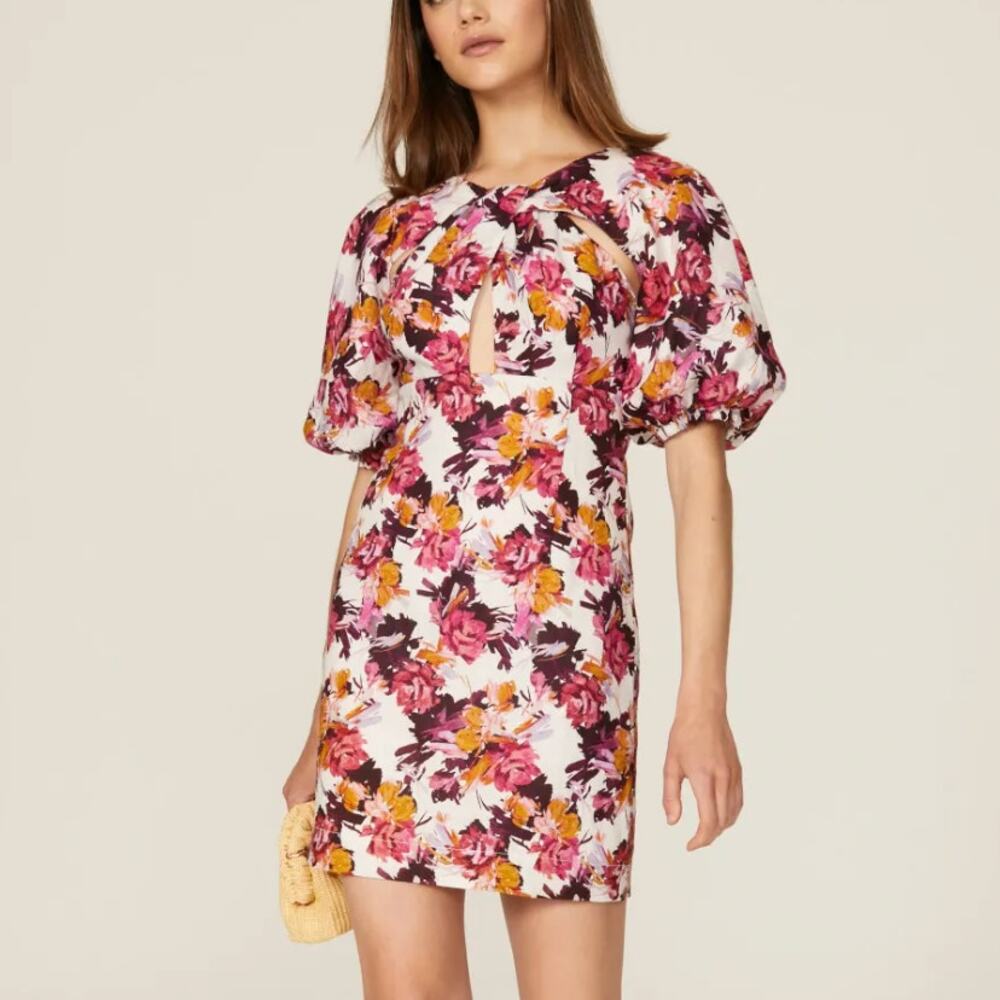 Nicholas Floral Cottage Mini Dress Size 10 Sheath Cut Out Designer Romantic $400
